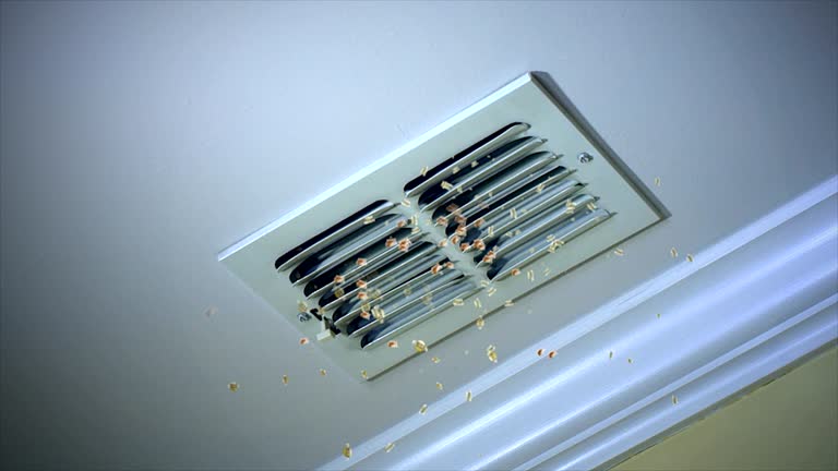 Best HVAC System Cleaning  in East Moline, IL