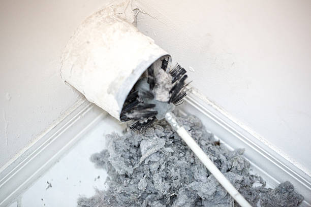 Best Ductwork Cleaning Services  in East Moline, IL